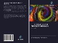 Cover-Bild zum Titel 'HET LEVEN ACHTER DE "PERFECTE" PERSOON' von 'Angie Shakira Ortiz Prada'