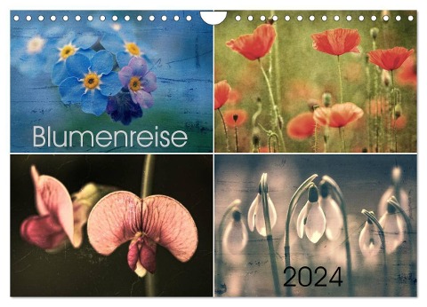 Blumenreise 2024 (Wandkalender 2024 DIN A4 quer), CALVENDO Monatskalender - Hernegger Arnold Joseph
