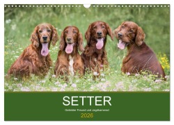 Cover-Bild zum Titel 'Setter - Geliebter Freund und Jagdkamerad (Wandkalender 2026 DIN A3 quer), CALVENDO Monatskalender' von 'Andrea Mayer Tierfotografie'
