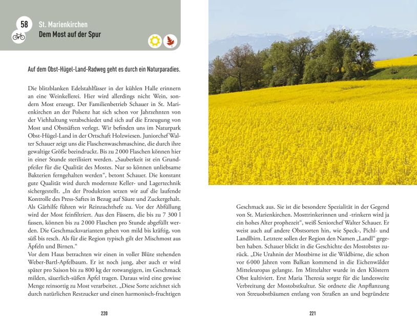 InsideView 10