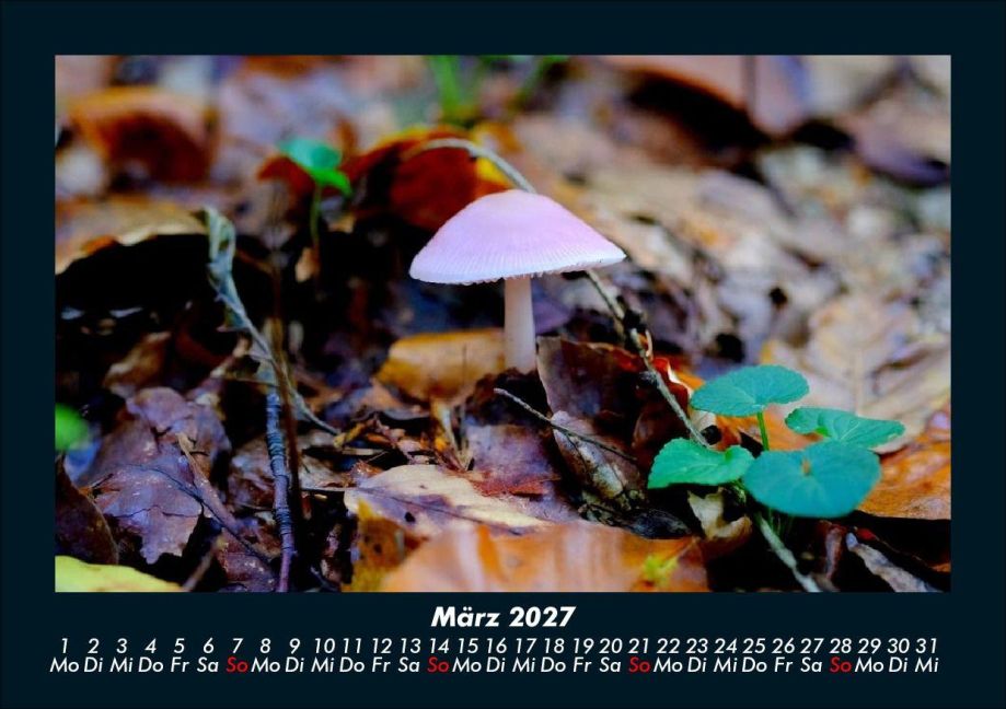 InsideView 7