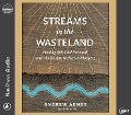 Cover-Bild zum Titel 'Streams in the Wasteland' von 'Andrew Arndt'