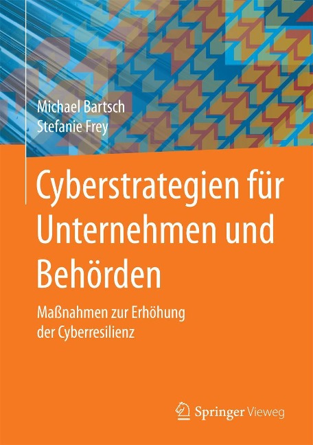 Cyberstrategien für Unternehmen und Behörden - Michael Bartsch, Stefanie Frey