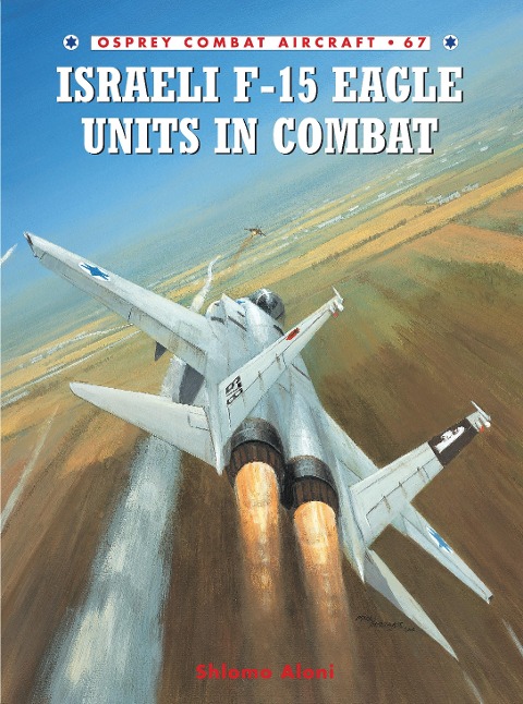Israeli F-15 Eagle Units in Combat - Shlomo Aloni