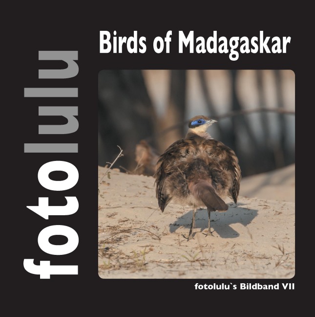 Birds of Madagaskar - Fotolulu