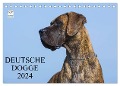 Deutsche Dogge 2024 (Tischkalender 2024 DIN A5 quer), CALVENDO Monatskalender - Sigrid Starick