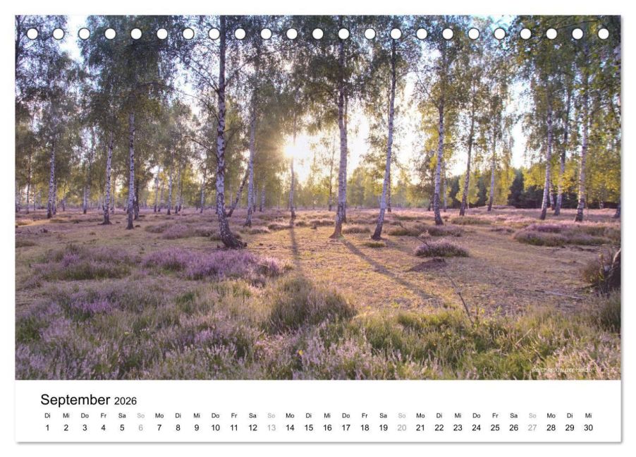 InsideView 14