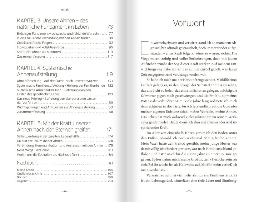 InsideView 2