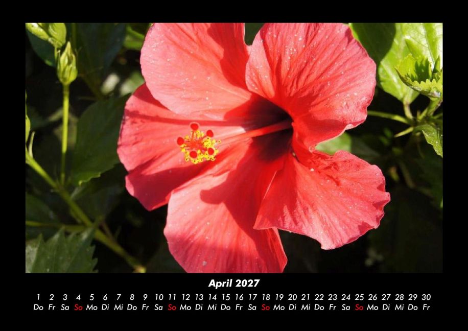 InsideView 8