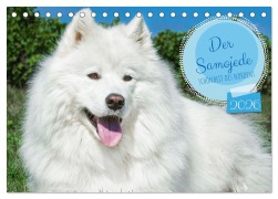 Cover-Bild zum Titel 'Der Samojede - Schönheit des Nordens (Tischkalender 2026 DIN A5 quer), CALVENDO Monatskalender' von 'Sigrid Starick'