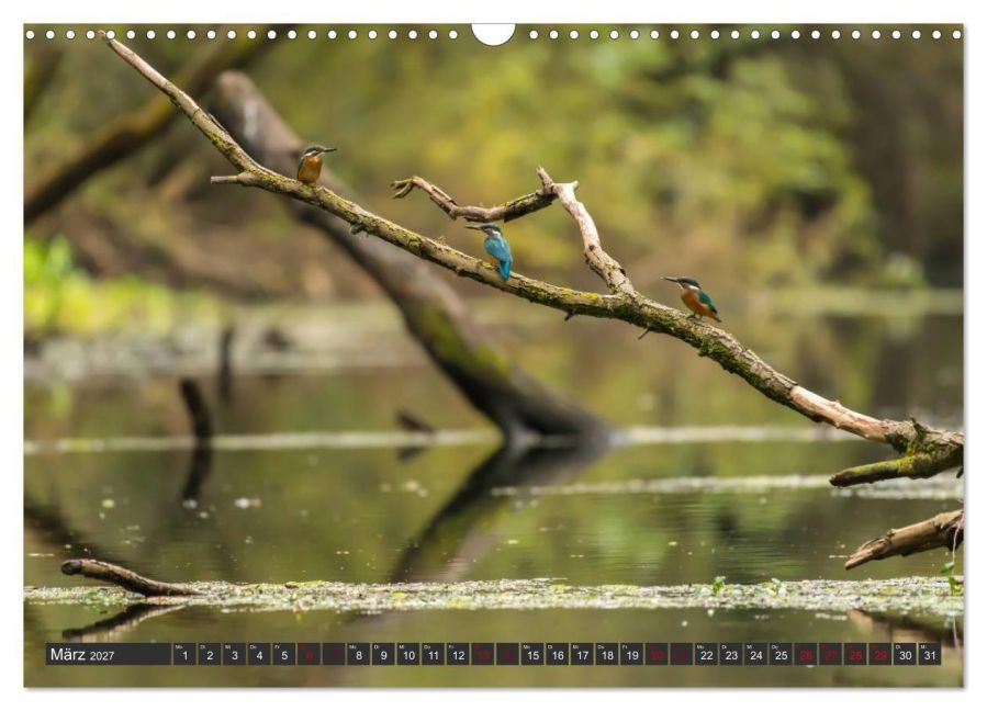 InsideView 8