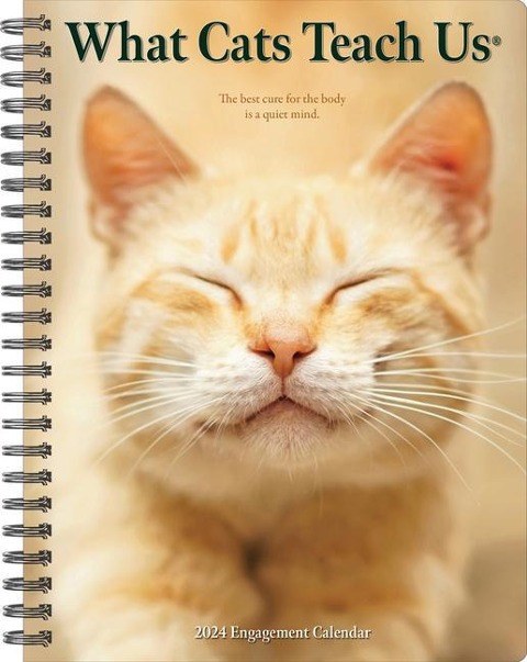What Cats Teach Us 2024 6.5 X 8.5 Engagement Calendar - Willow Creek Press