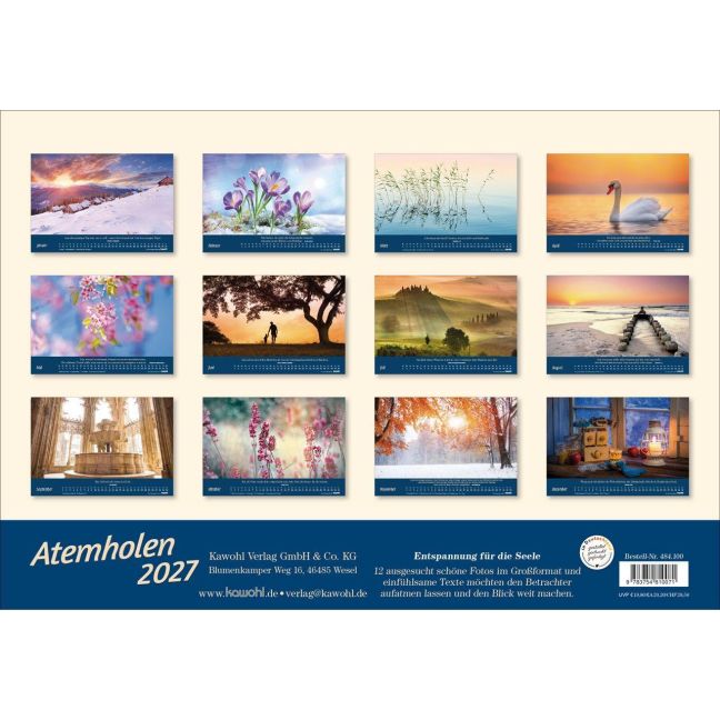InsideView 13