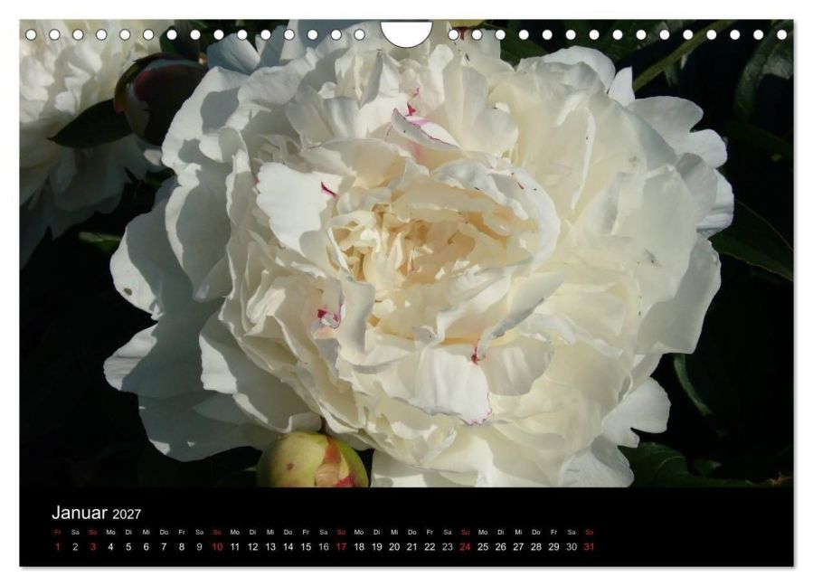 InsideView 6