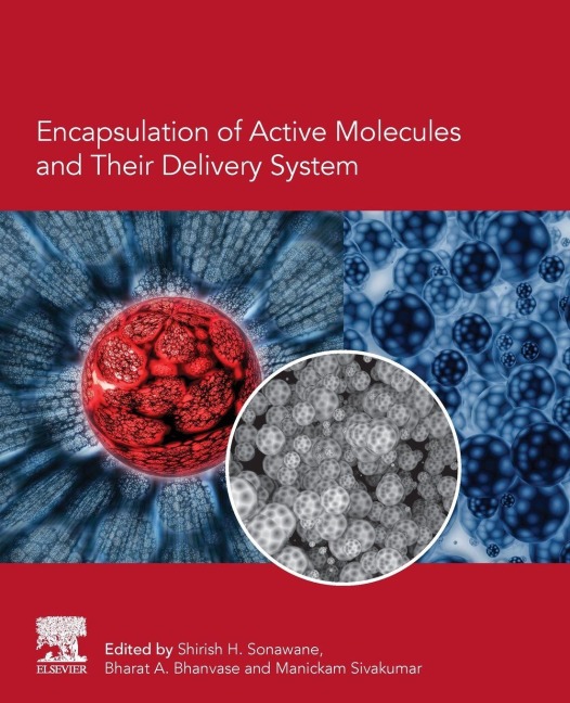 Encapsulation of Active Molecules and Their Delivery System - 