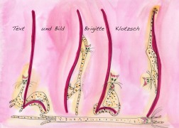 Cover-Bild zum Titel 'Lili' von 'Brigitte Klotzsch'