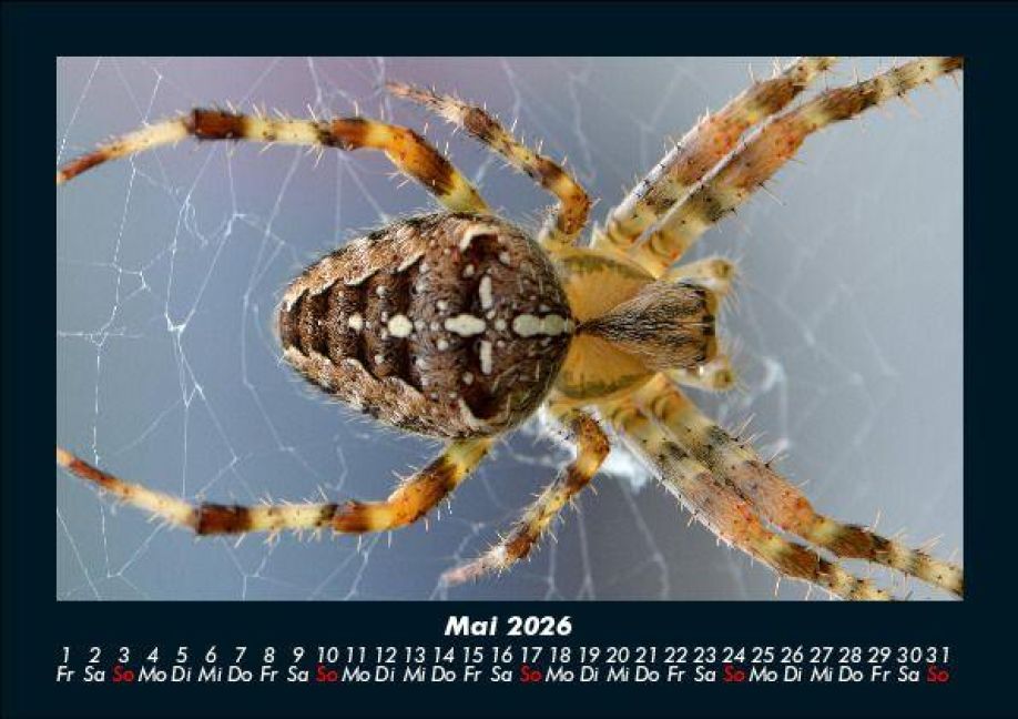 InsideView 9