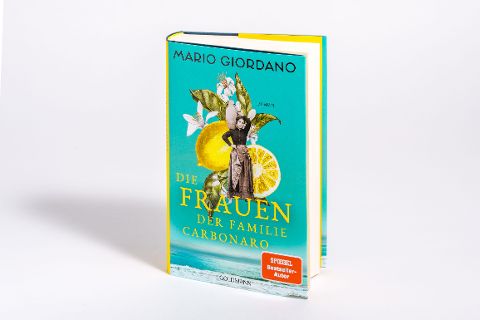 InsideView 2