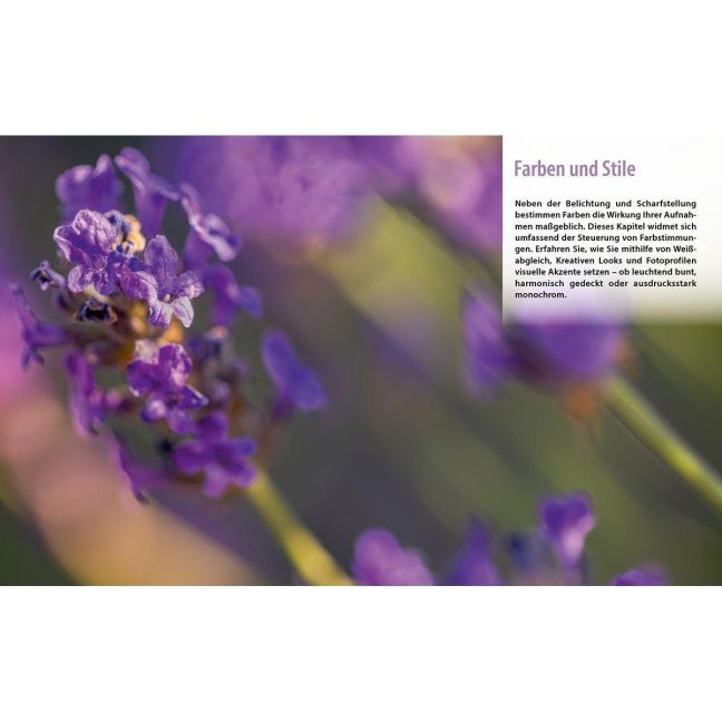 InsideView 7