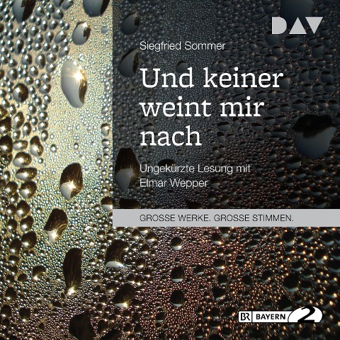 Und keiner weint mir nach - Siegfried Sommer