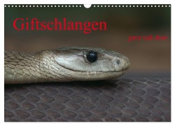 Cover-Bild zum Titel 'Giftschlangen, ganz nah dran (Wandkalender 2026 DIN A3 quer), CALVENDO Monatskalender' von 'Sigrid Enkemeier'