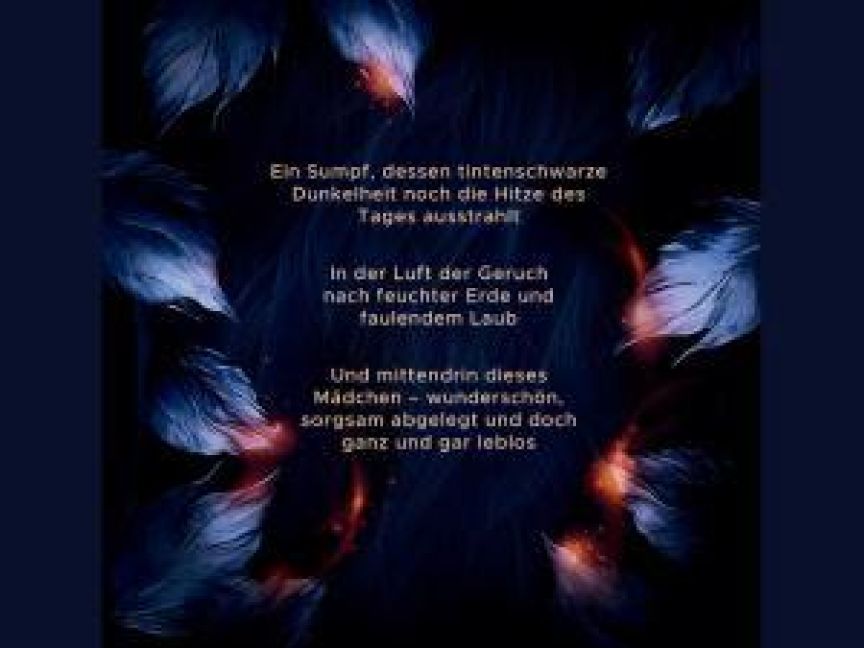 InsideView 12