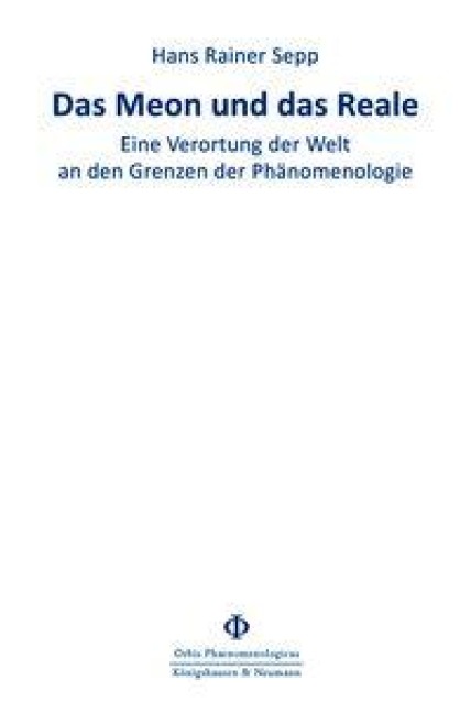 Das Meon und das Reale - Hans Rainer Sepp