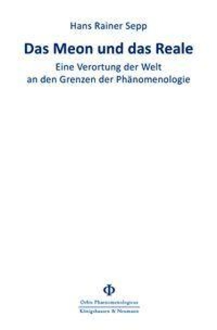 Das Meon und das Reale - Hans Rainer Sepp