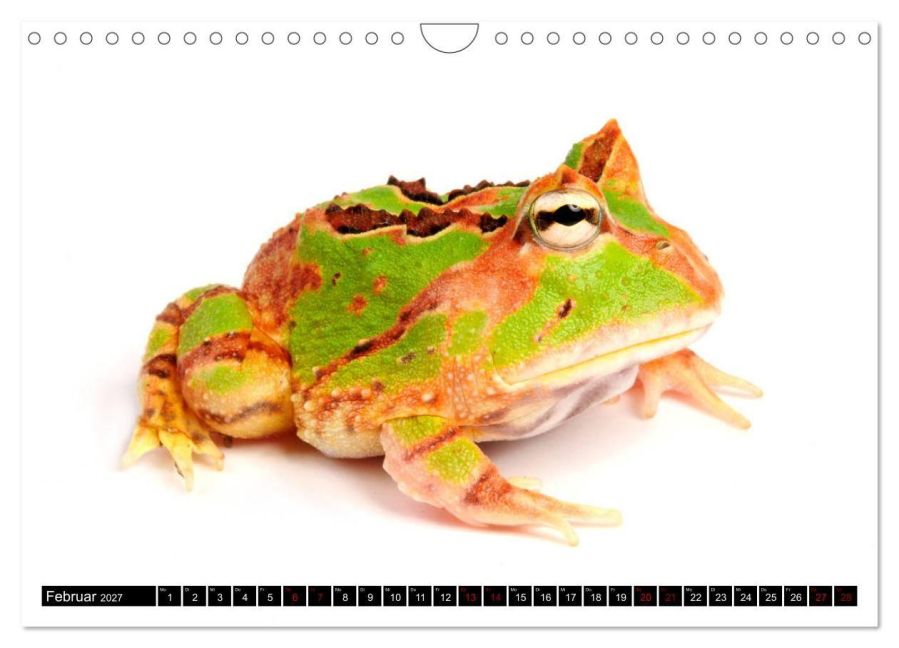 InsideView 7