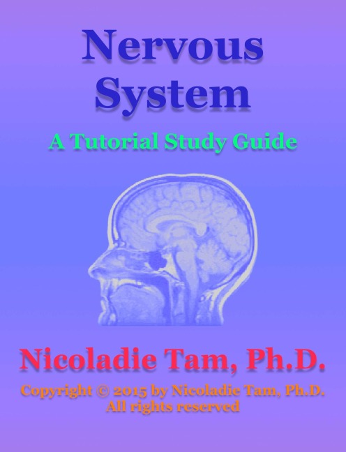 Nervous System: A Tutorial Study Guide - Nicoladie Tam