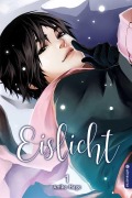 Cover-Bild zum Titel 'Eislicht 01' von 'Anike Hage'