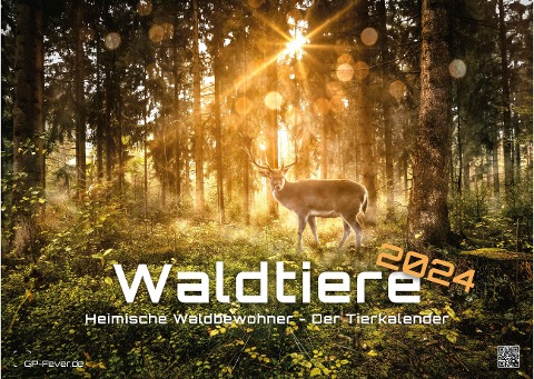 Waldtiere - Heimische Waldbewohner - Der Tierkalender - 2024 - Kalender DIN A3 - 