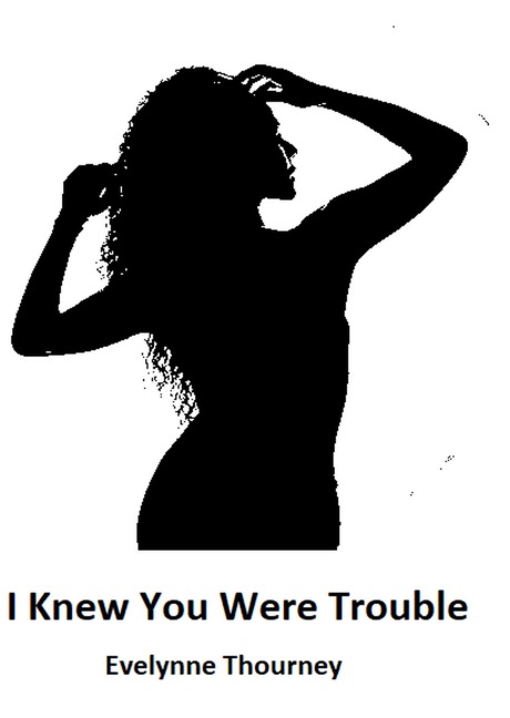 I Knew You Were Trouble - Evelynne Thourney
