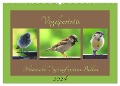 Vogelporträts - Heimische Vögel auf meinem Balkon (Wandkalender 2024 DIN A2 quer), CALVENDO Monatskalender - Claudia Schimmack