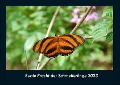 Bunte Pracht der Schmetterlinge 2023 Fotokalender DIN A4 - Tobias Becker
