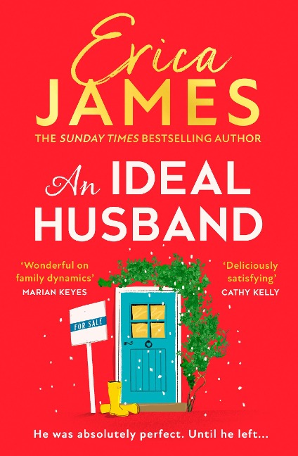 An Ideal Husband - Erica James