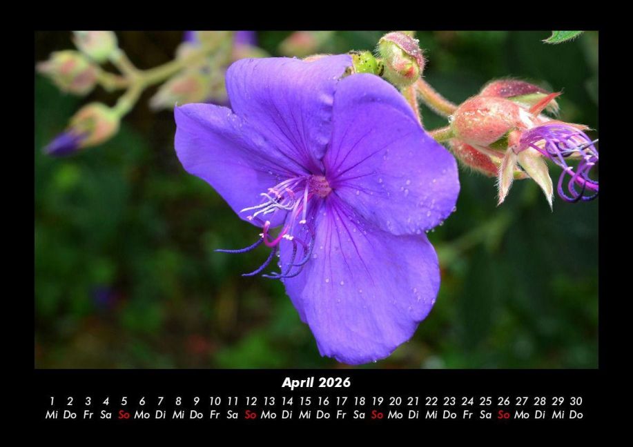 InsideView 8