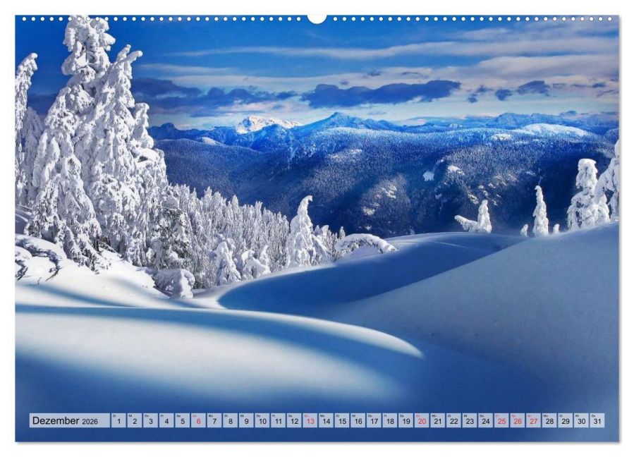 InsideView 4