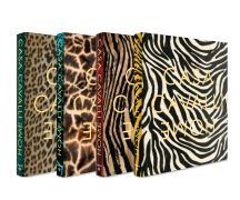 Cover-Bild zum Titel 'Casa Cavalli Home' von 'Cavalli Home'