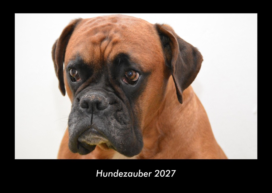 Hundezauber 2027 Fotokalender DIN A3 - Tobias Becker