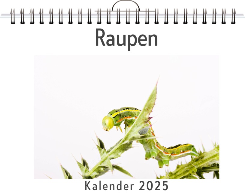 Raupen - Samuel Klein