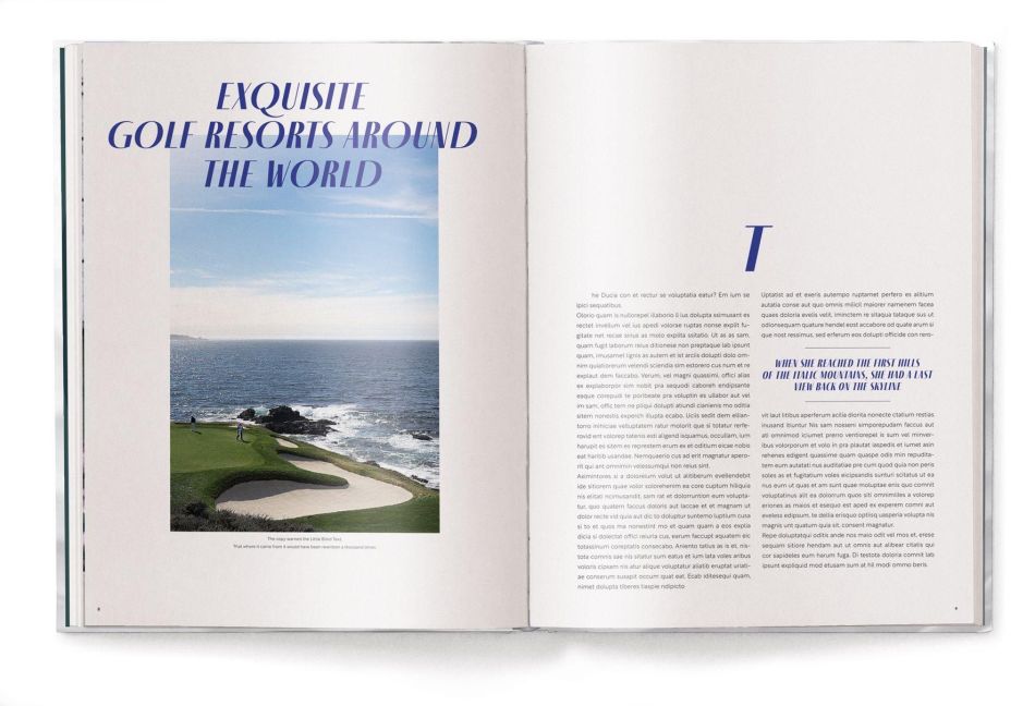 InsideView 3