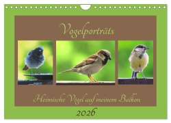 Cover-Bild zum Titel 'Vogelporträts - Heimische Vögel auf meinem Balkon (Wandkalender 2026 DIN A4 quer), CALVENDO Monatskalender' von 'Claudia Schimmack'