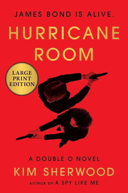 Hurricane Room - Kim Sherwood