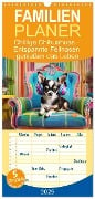 Familienplaner 2025 - Chillige Chihuahuas - Entspannte Fellnasen genießen das Leben mit 5 Spalten (Wandkalender, 21 x 45 cm) CALVENDO - Fotodesign Verena Scholze