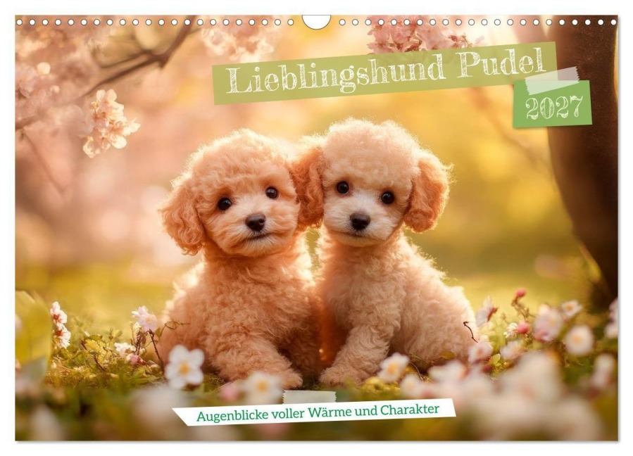 Lieblingshund Pudel (Wandkalender 2027 DIN A3 quer), CALVENDO Monatskalender - Melanie Viola