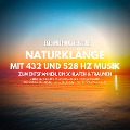 Beruhigende Naturklänge mit 432 Hz und 528 Hz Musik zum Entspannen, Einschlafen und Träumen - Yella A. Deeken
