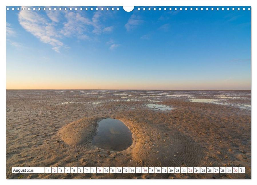 InsideView 13