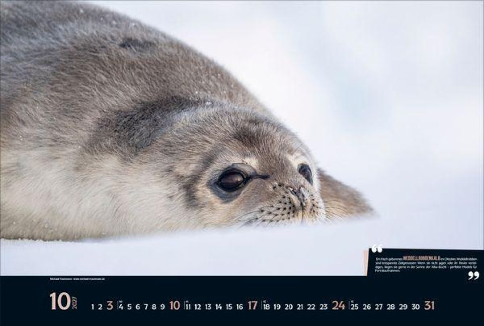 InsideView 10