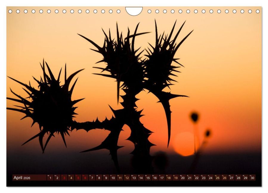 InsideView 9